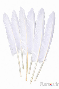 Gans - 24-28 cm - wit